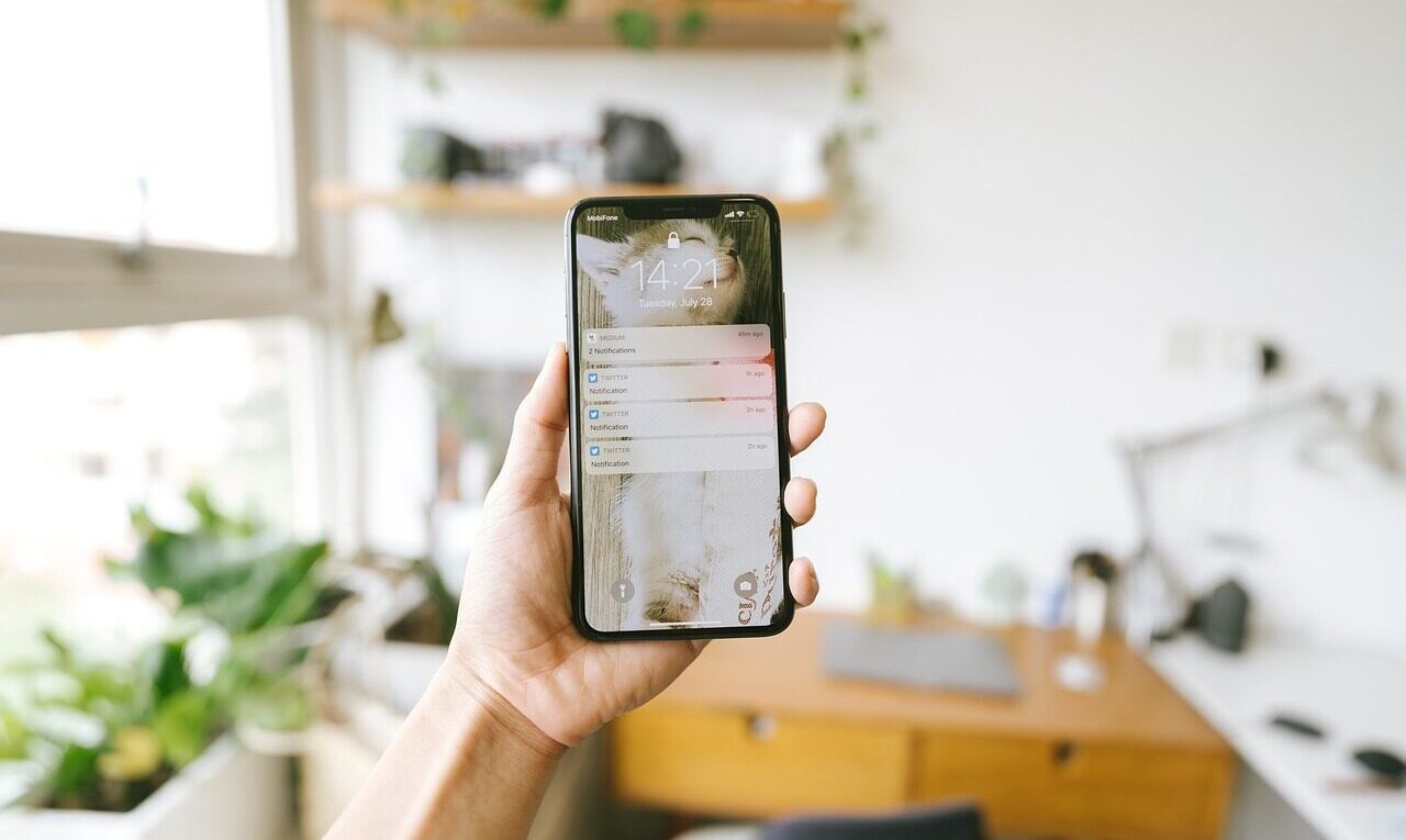 iphone, hand, phone, mobile phone, smart phone, technology, hand holding a phone, notify, notifications, updates, messages, iphone, iphone, phone, phone, phone, phone, phone, mobile phone, smart phone, smart phone, notifications